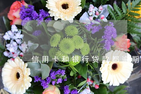 信用卡和银行贷款都逾期 信用卡和银行贷款都逾期