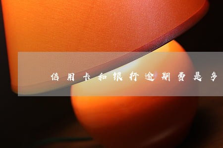 信用卡和银行逾期费是多少钱 信用卡和银行逾期费是多少钱