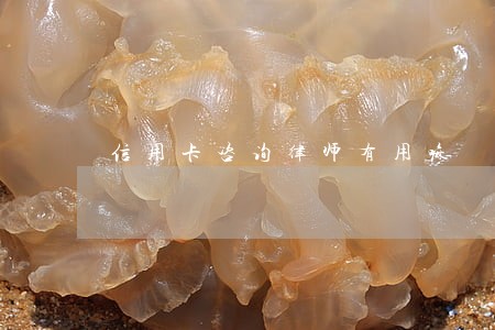 信用卡咨询律师有用嘛 信用卡咨询律师有用嘛