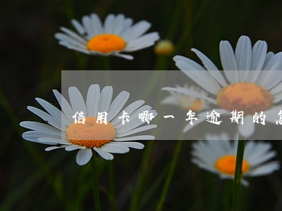 信用卡哪一年逾期的怎么查询