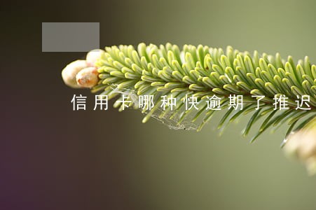 信用卡哪种快逾期了推迟还钱 信用卡哪种快逾期了推迟还钱