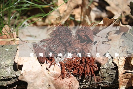 信用卡哪种情况会逾期 信用卡哪种情况会逾期