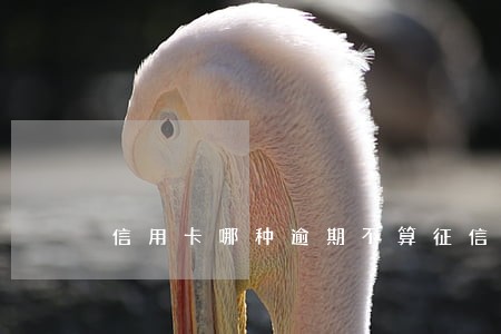 信用卡哪种逾期不算征信 信用卡哪种逾期不算征信
