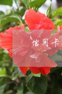 信用卡喜欢逾期 信用卡喜欢逾期