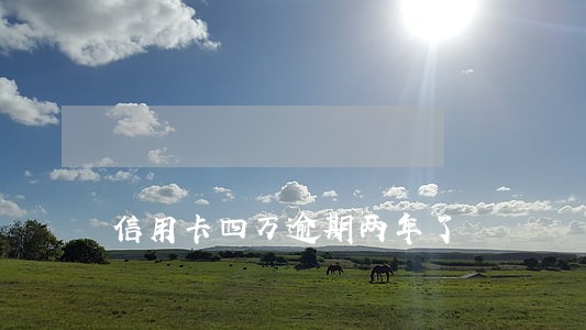 信用卡四万逾期两年了 信用卡四万逾期两年了