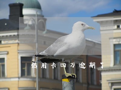 信用卡四万逾期了 信用卡四万逾期了