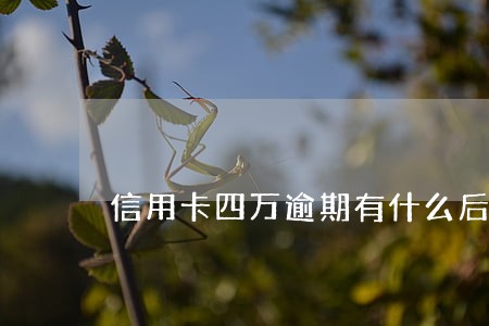 信用卡四万逾期有什么后果