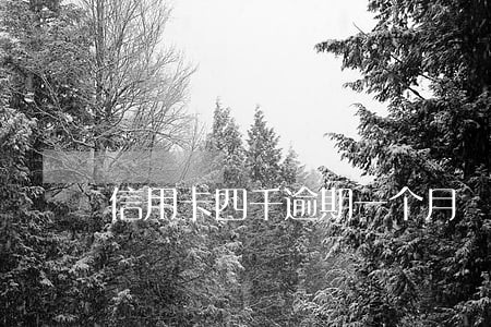 信用卡四千逾期一个月