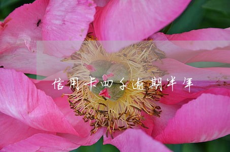 信用卡四千逾期半年 信用卡四千逾期半年