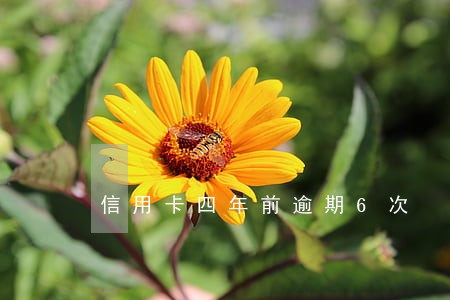 信用卡四年前逾期6次 信用卡四年前逾期6次