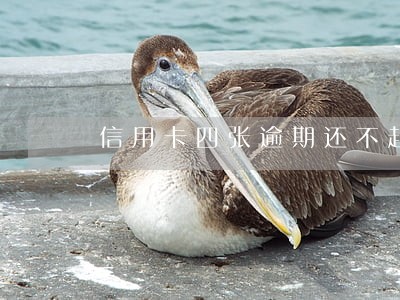 信用卡四张逾期还不起怎么办