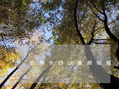 信用卡四次逾期按揭 信用卡四次逾期按揭