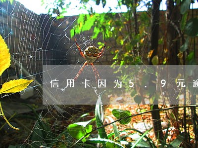 信用卡因为5.9元逾期 信用卡因为5.9元逾期