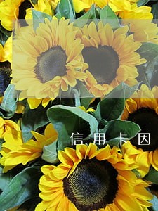 信用卡因为变更号码逾期了 信用卡因为变更号码逾期了