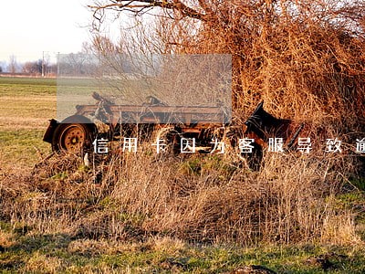 信用卡因为客服导致逾期 信用卡因为客服导致逾期