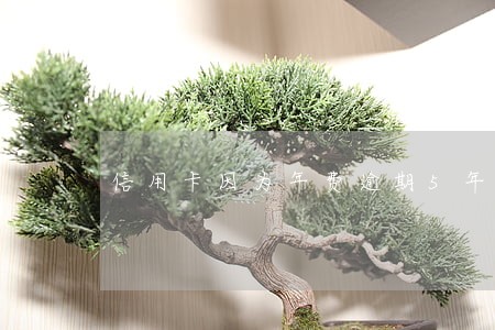 信用卡因为年费逾期5年上了征信