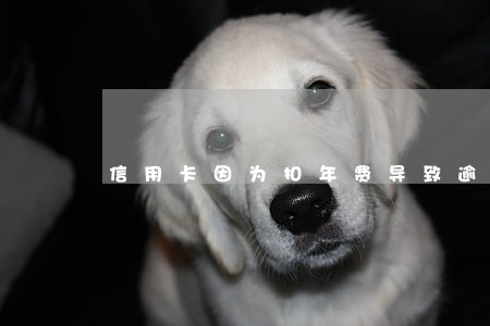 信用卡因为扣年费导致逾期 信用卡因为扣年费导致逾期