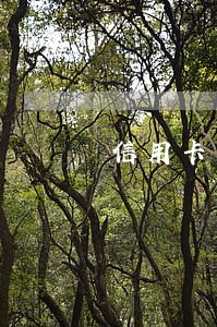 信用卡因为扣款逾期会上征信吗 信用卡因为扣款逾期会上征信吗