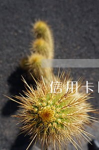 信用卡因为特殊情况逾期可以协商还款吗 信用卡因为特殊情况逾期可以协商还款吗