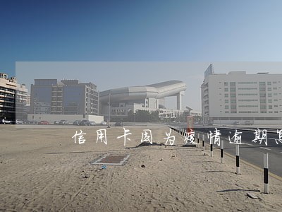 信用卡因为疫情逾期怎么写说明