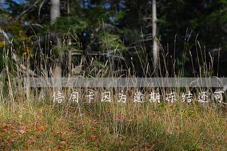 信用卡因为逾期冻结还可以还款
