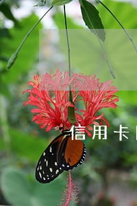 信用卡因为逾期冻结还难解冻吗