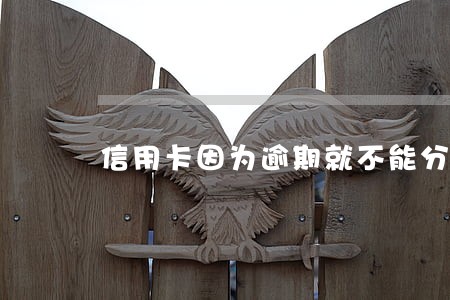 信用卡因为逾期就不能分期 信用卡因为逾期就不能分期
