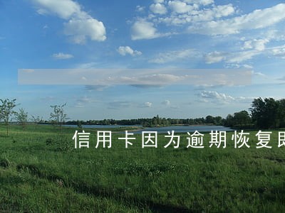 信用卡因为逾期恢复即时额度 信用卡因为逾期恢复即时额度