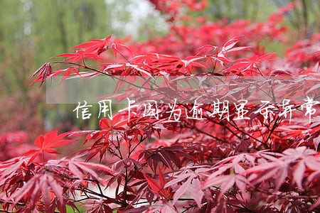 信用卡因为逾期显示异常 信用卡因为逾期显示异常