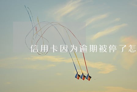 信用卡因为逾期被停了怎么办