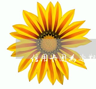 信用卡因为逾期被冻了