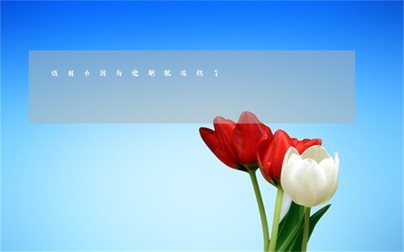 信用卡因为逾期被冻结了