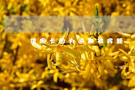 信用卡因为逾期被降额 信用卡因为逾期被降额