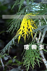 信用卡因为银行服务费扣款逾期 信用卡因为银行服务费扣款逾期