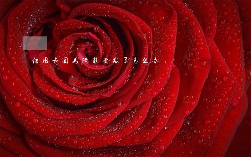 信用卡因为降额逾期了怎么办 信用卡因为降额逾期了怎么办