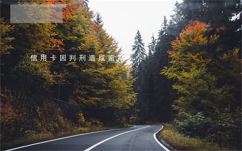 信用卡因判刑造成逾期