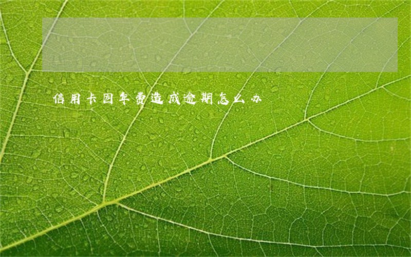 信用卡因年费造成逾期怎么办 信用卡因年费造成逾期怎么办