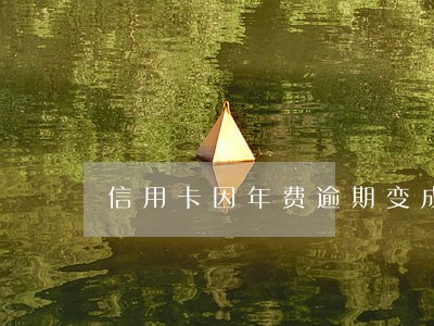 信用卡因年费逾期变成止付状态 信用卡因年费逾期变成止付状态