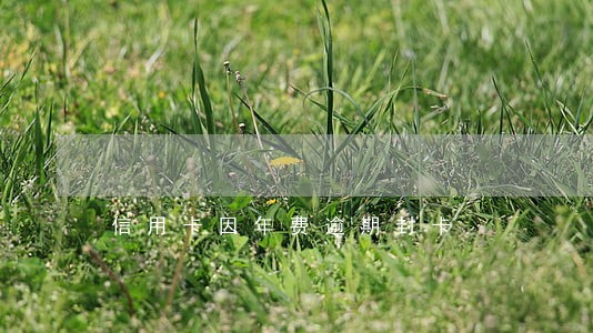 信用卡因年费逾期封卡 信用卡因年费逾期封卡