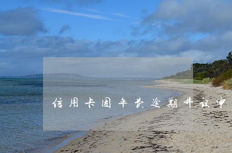 信用卡因年费逾期异议审查 信用卡因年费逾期异议审查