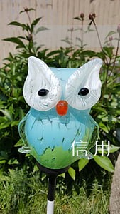信用卡因年费逾期被冻结