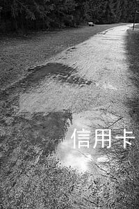 信用卡因征信有网贷逾期停了