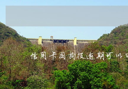 信用卡因拘役逾期可以申请异议吗 信用卡因拘役逾期可以申请异议吗