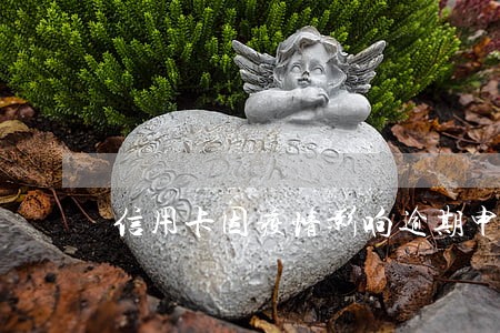 信用卡因疫情影响逾期申请表 信用卡因疫情影响逾期申请表