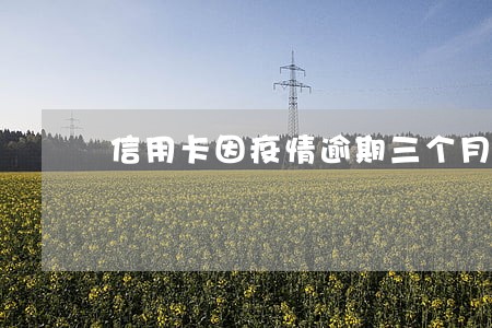 信用卡因疫情逾期三个月 信用卡因疫情逾期三个月