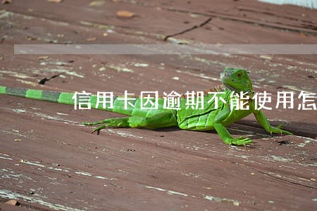 信用卡因逾期不能使用怎么办 信用卡因逾期不能使用怎么办