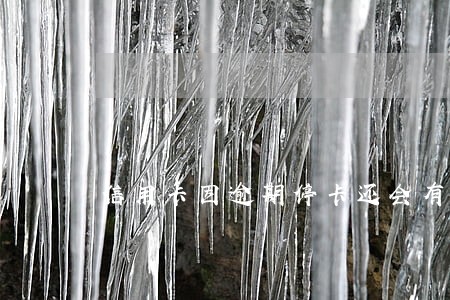 信用卡因逾期停卡还会有利息吗 信用卡因逾期停卡还会有利息吗