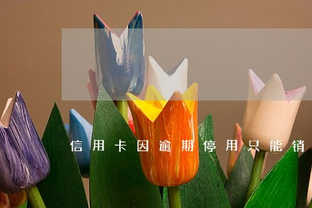 信用卡因逾期停用只能销卡么