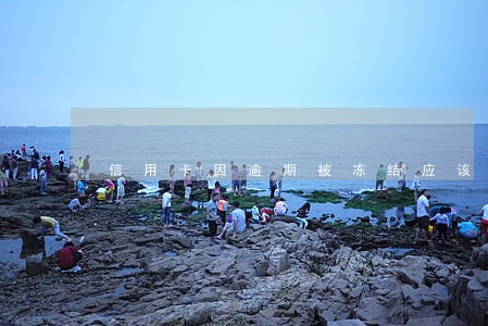 信用卡因逾期被冻结应该怎么办