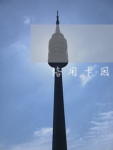 信用卡因逾期被暂停使用怎么办 信用卡因逾期被暂停使用怎么办